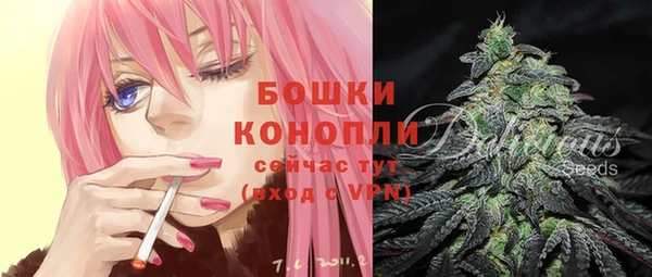 крисы Няндома